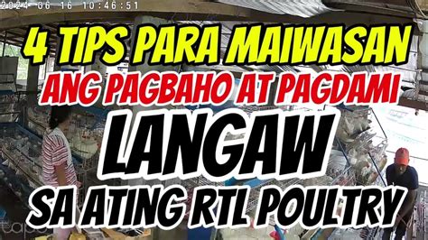 Paano maiiwasang malulong sa sugal .